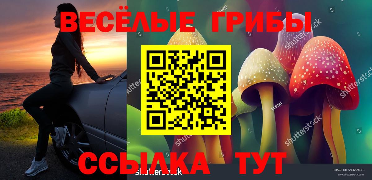 Моздок  Псилоцибиновые грибы MAGIC MUSHROOMS  Псилоцибиновые грибы Magic Shrooms  Вход с VPN 